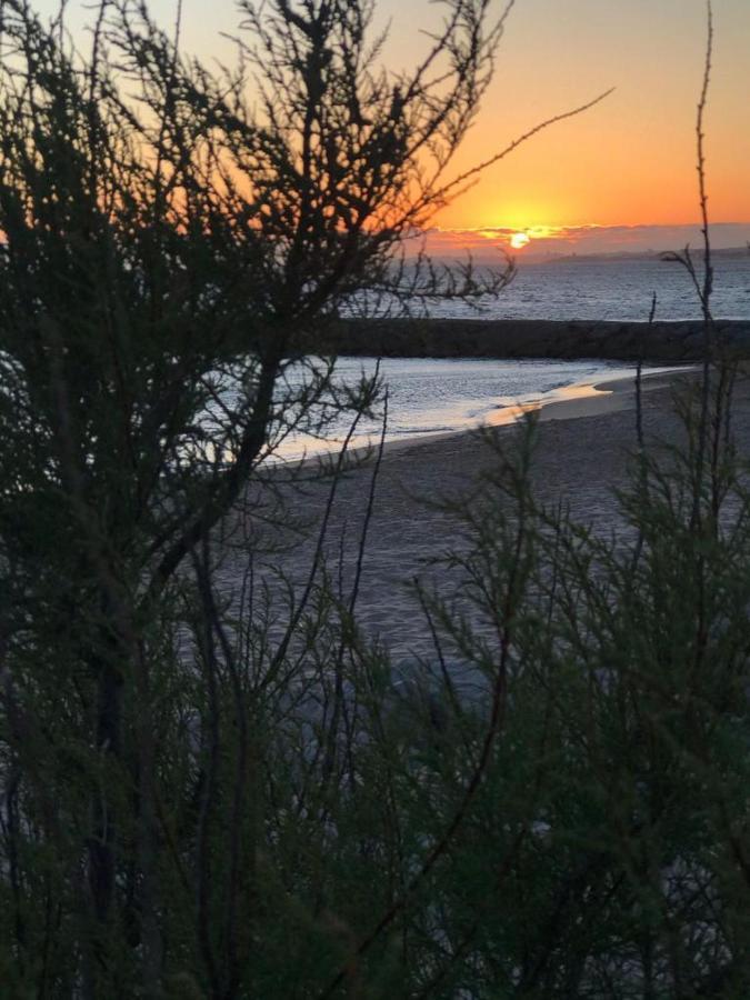 T2 Com Uma Vista Deslumbrante Sobre O Atlantico! Leilighet Costa de Caparica Eksteriør bilde